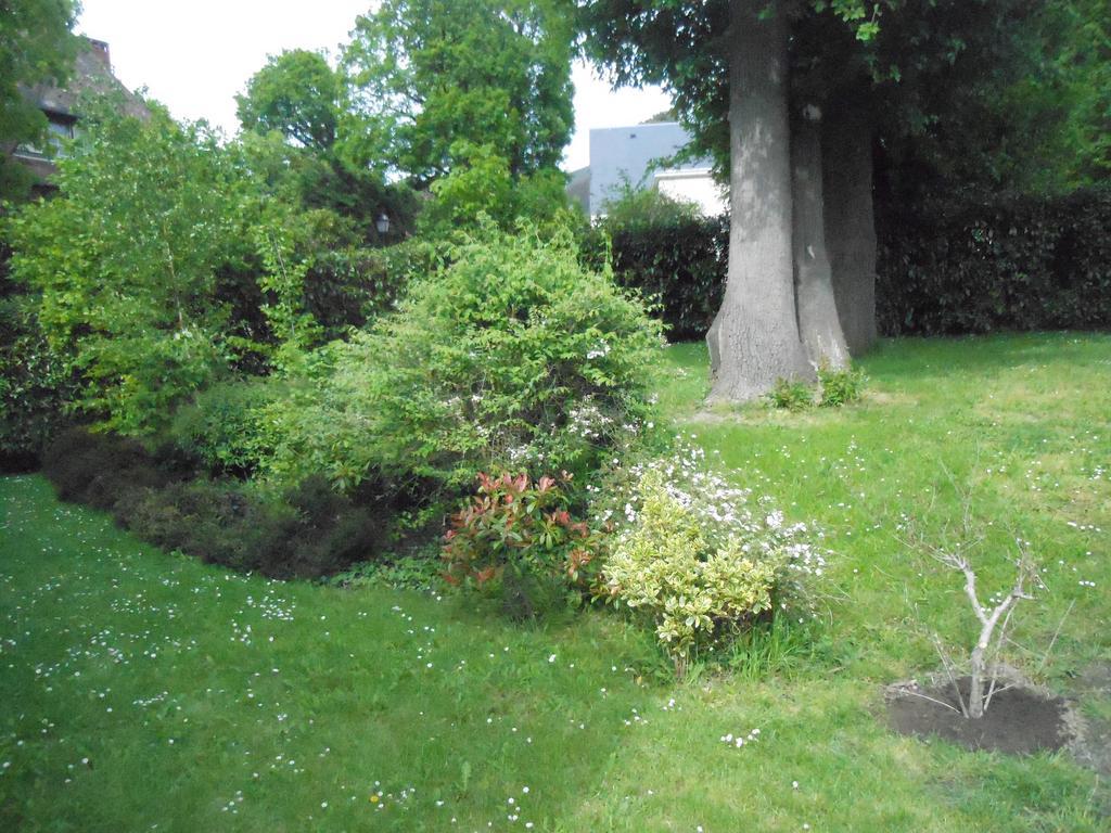 La Clemencerie Chambre D'Hotes L'Etang-la-Ville 外观 照片