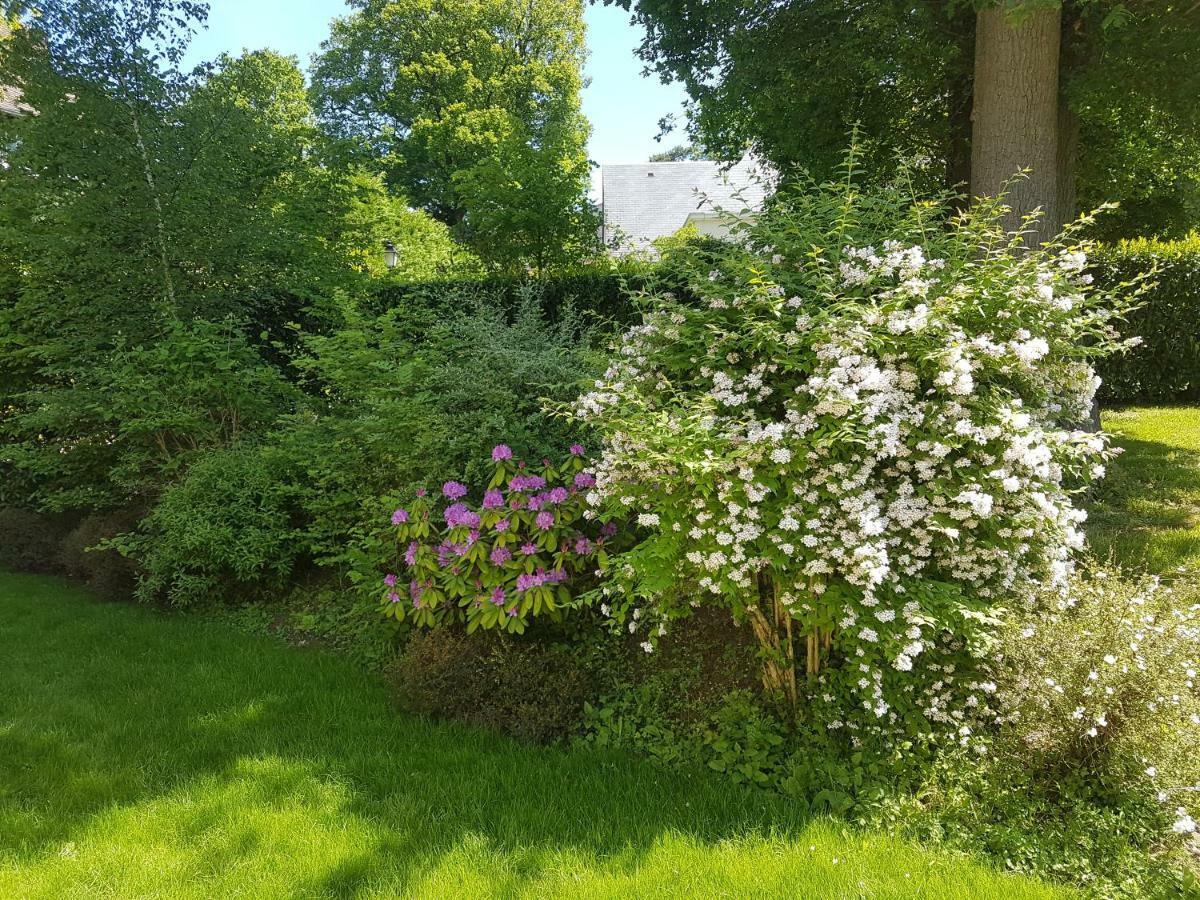 La Clemencerie Chambre D'Hotes L'Etang-la-Ville 外观 照片